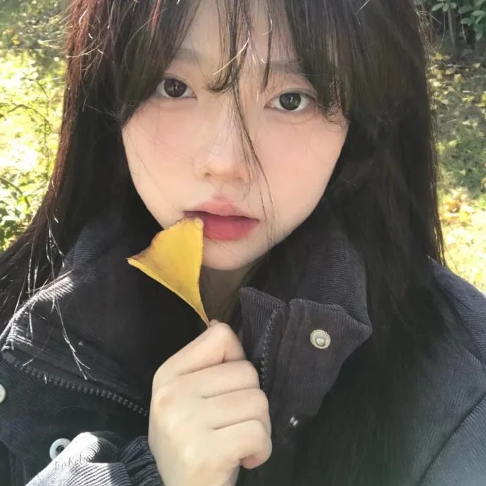 母牛总动员